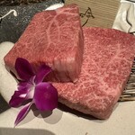 Miyazaki Ozaki Gyuu Teppanyaki Gin Umeda Hirutonpurazauesuto - 