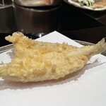 ozashiki tempura tenmasa Marubiru Ten - 