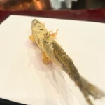 ozashiki tempura tenmasa Marubiru Ten - 