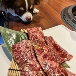 Yakiniku Isshiki Michimori - 