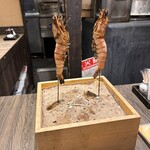 Robata Yokoyama - 