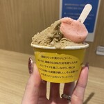 湘南スパイスジェラート ヒサ - 