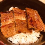 Unagi Kappou Kitamikado Isahaya Ten - うなぎ丼（小丼）