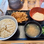 Yoshinoya Rinkaigan Wada Ten - 麦とろ牛皿定食