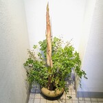 Kappou Ryu - 階段を降りて出迎えてくれるお花でーす。