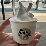 朝搾りソフトクリーム titi 藤井牧場 - ミニカップ ミルク 280円