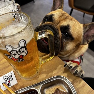 日曜ランチ限定◎愛犬と共に焼肉が楽しめるカフェタイム