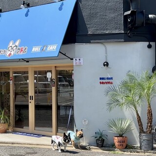 犬好きさん大歓迎♪看板犬のいる、スタイリッシュな焼肉店