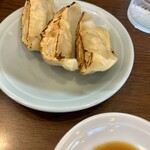 Akintei Kota Ten - 餃子3ケ