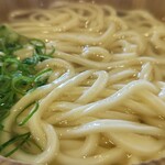 Marugame Seimen Sakai Izumikita Ten - 