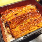 Unagi Takizawa - 