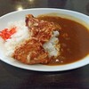 アポロ - からあげカレー 600円