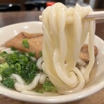 Sanuki Udon Sandaime Tare Han - 