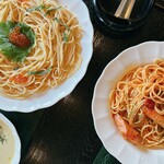 Spaghetti Senmonten Acca Karuda - 