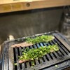 Yakiniku Nikukyuu - 