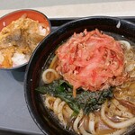 Nadai Fuji Soba Seibu Shinjuku Ten - 