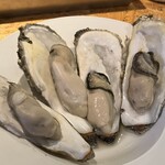 FAST OYSTERS - 