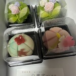 Kasho Hanami Ginza Mitsukoshi Ten - 