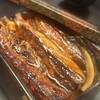 Eel Tei Ooishi - 