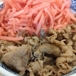 Yoshinoya Nishi Nishichihakyugosen Handa Ten - 