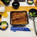 Unagi Takizawa - 