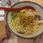 Taishu Izakaya Toriichizu Kashiwa Higashiguchi Ten - 辛いパイタン麺ハーフ(439円)に皮串用スパイシー粉でキメる！(2024.7.6)