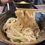 Bicchu Teuchi Udon Oonishi - 