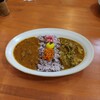 Kyoto Spice Curry KAAYA - 