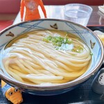 Tanuki Ya - かけうどん(大) 480円