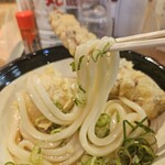 Sanuki Udon Ibukiya Seimen Akihabara Udx Ten - 