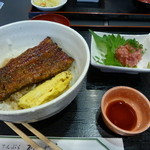 柳ばし - ランチのうな丼、半ライス。