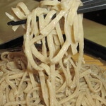 Soba Tetsu Hon Ten - 