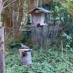 THE BIRD WATCHING CAFE - 