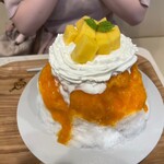 TSUKIMISOU Shave Ice - 