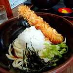 Sohonke Udon Doraku - 