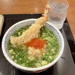 すなだ どんどん - かけ小290円、エビ天150円