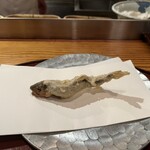 Ryori Ryokan Tempura Yoshikawa - 