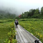 食事処 鬼の厨 - 自然園の木道　霧が晴れてきました　風穴は涼しかった