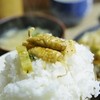 お食事の店 多津田 - 料理写真: