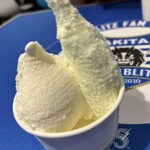 GELATERIA SHEETA - 