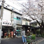 Ohara Shoten - 店舗前に桜が！