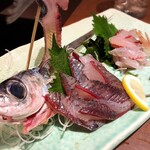 うまい寿司と魚料理 魚王KUNI - トビウオ姿造り