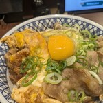 Yoshinoya Yokohama Joinasu Ten - 