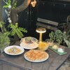 Trattoria ALBERO - 