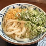 Marugame Seimen Sakai Izumikita Ten - 冷かけうどん（並）٩(*•̀ᴗ、•́*)و ̑̑