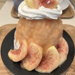 TSUKIMISOU Shave Ice - 