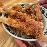 Tempura Shinjuku Tsunahachi Toyama Ten - 天丼