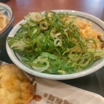 Marugame Seimen Kamishakuji Ten - 