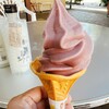 ワイナリーレストラン朝霧の庄 - 料理写真:ぶどうソフトクリーム350円