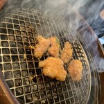 Oumi Yakiniku Horumon Sudaku Himeji Ten - 